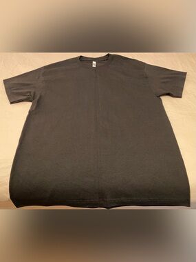 2 T-Shirt Lot - American Apparel - Fruit Of The Loom Men’s Size Large NWOT